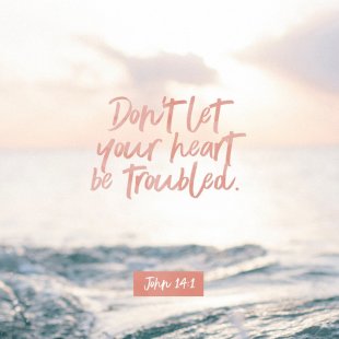 356F9463-2A49-4F9A-9B55-0CDCCB83B83B